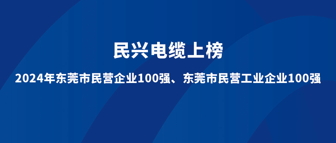 民興位列第15位！2024年東莞市民營工業(yè)企業(yè)100強(qiáng)榜單發(fā)布